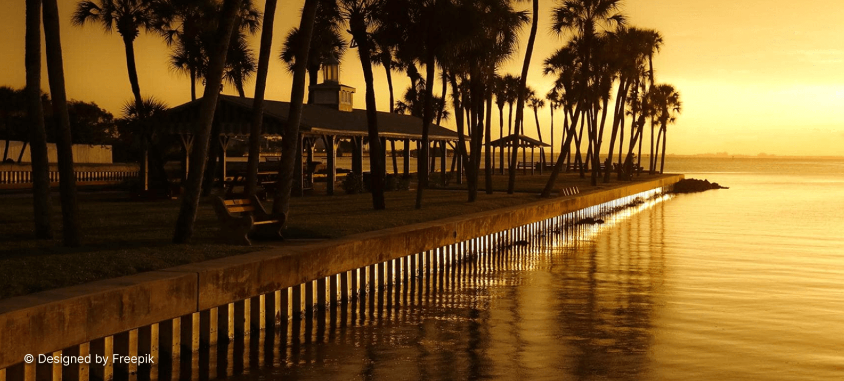 Discover the treasures of Africa with Afenlight